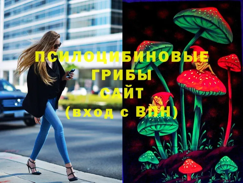 Псилоцибиновые грибы Psilocybine cubensis  Лосино-Петровский 